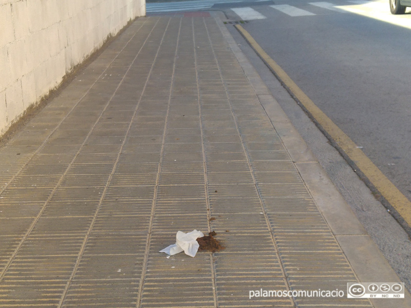 Excrement de gos al carrer.