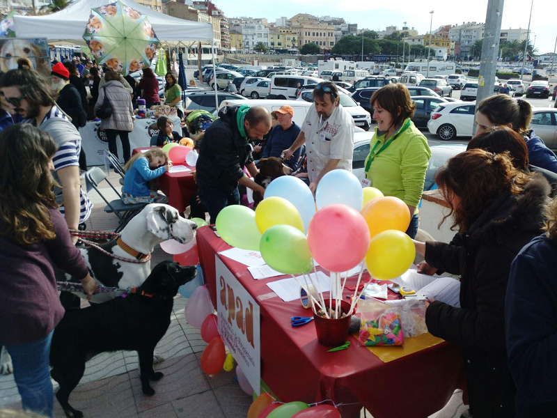 Paradeta de l'APAD, ahir al passeig del Mar de Palamós. Foto APAD