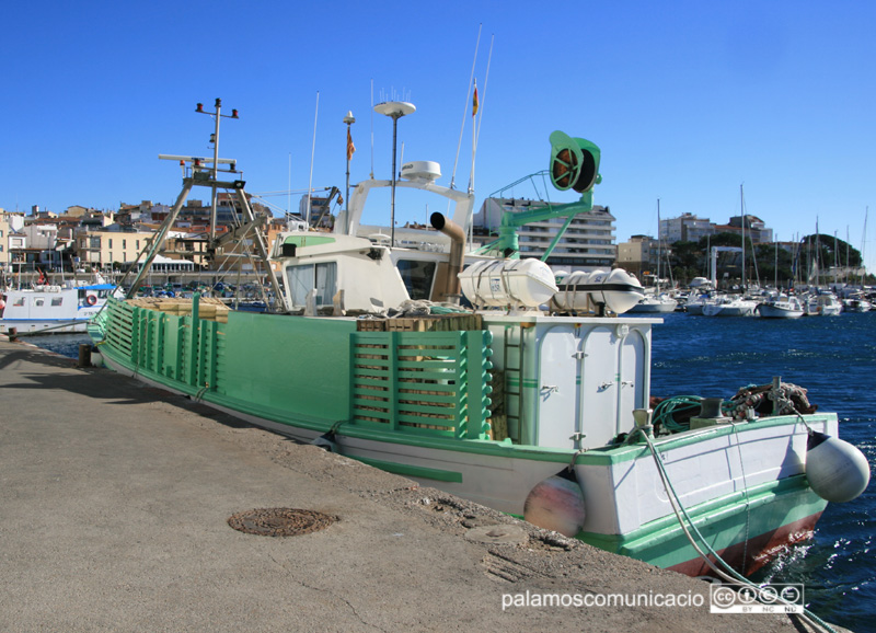 Una teranyina amarrada al moll pesquer del port de Palamós.