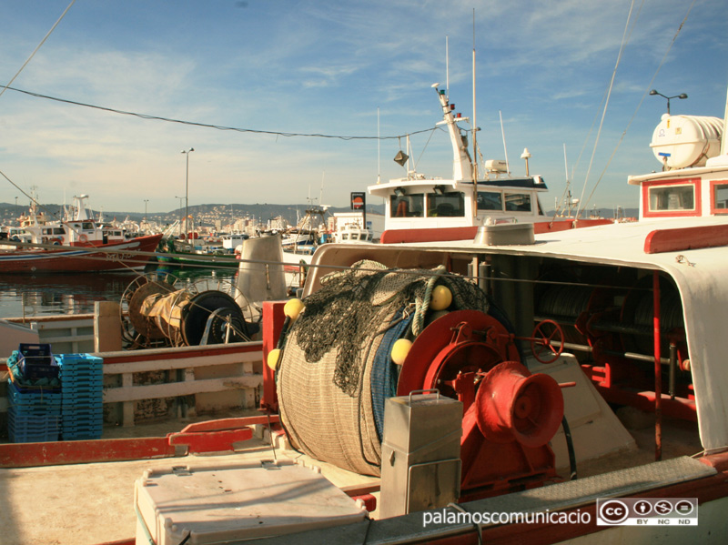 Barques de pesca al port de Palamós.
