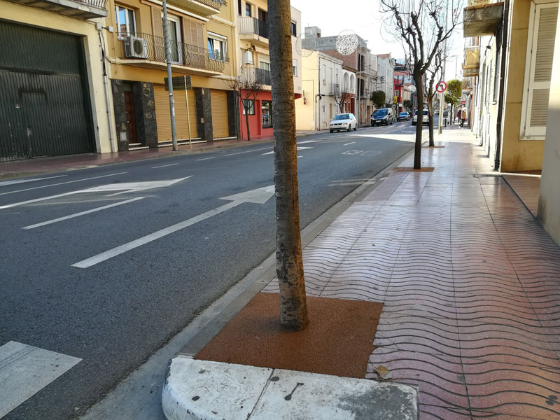 Escorcell en una avinguda de Palamós. (Foto: Ajuntament de Palamós).