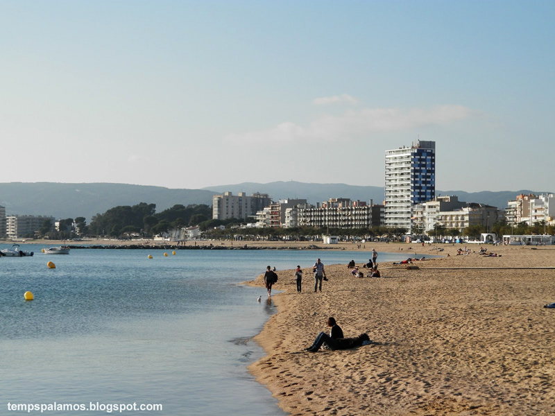 Els propietaris de gossos voldrien poder anar a la platja també a l'estiu. (Foto: J. Fernández).