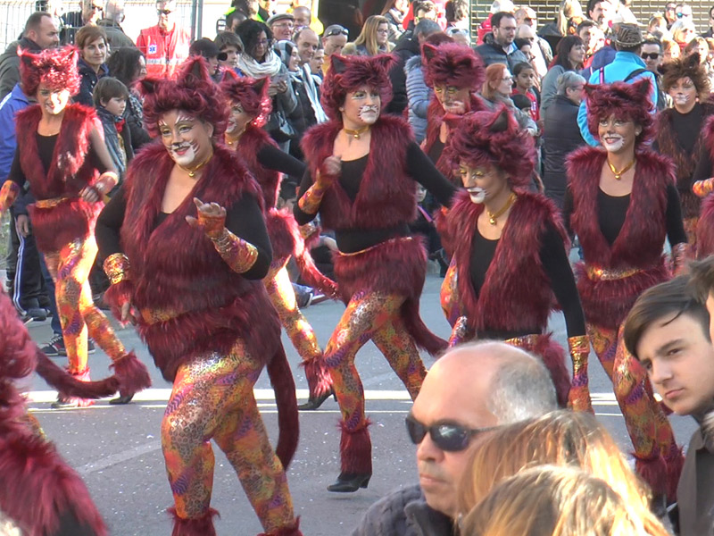 La rua de comparses i carrosses és demà un dels actes centrals de Carnaval.