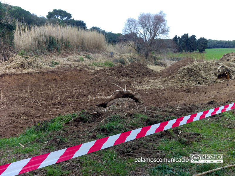 Ja han començat els treballs de restauració a Castell.