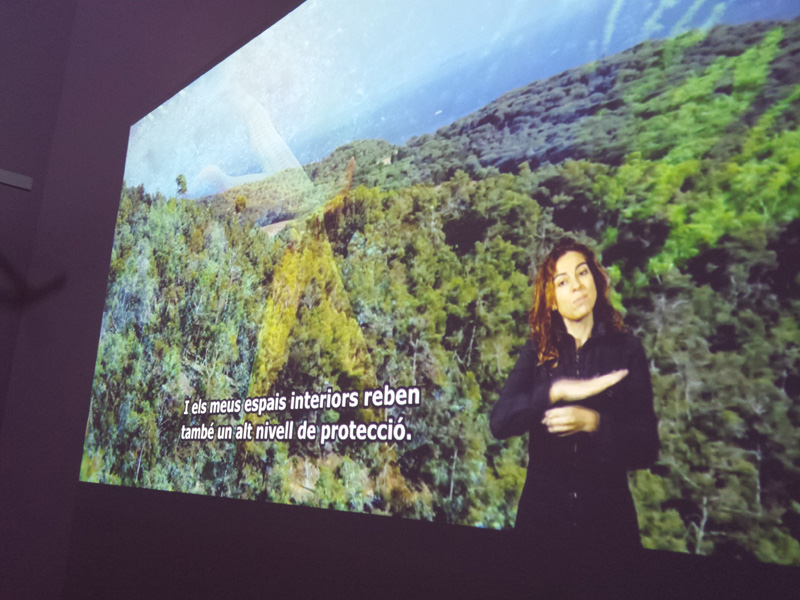 Els vídeos incorporen subtítols i una intèrpret del llenguatge dels signes. (Foto: Ajuntament de Palamós).