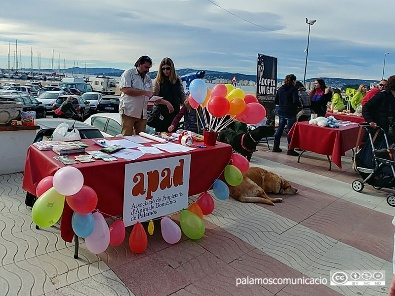 Taula informativa de l'APAD, al passeig del Mar.