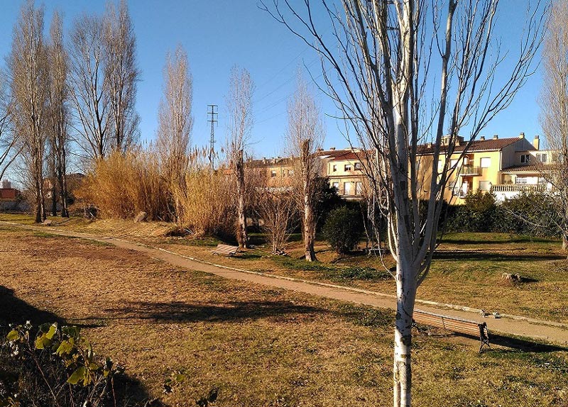 La zona de picnic al parc de la Bassa va ser el segon projecte més votat.