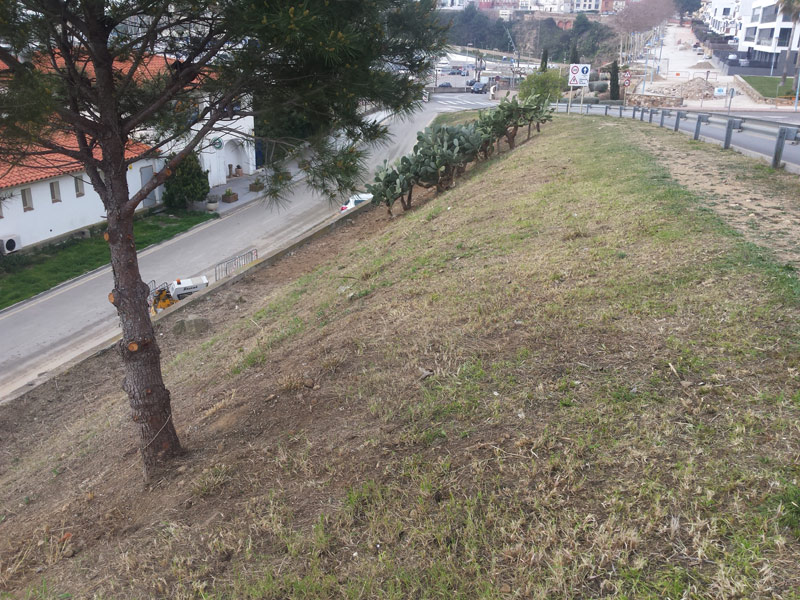 Talús situat entre el mirador del Morro del Vedell i el passeig de les Pites. (Foto: Ajuntament de Palamós).