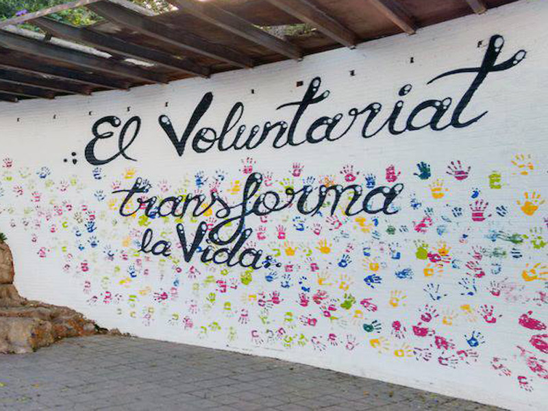 Les persones participants podran conèixer l’acció del voluntariat.