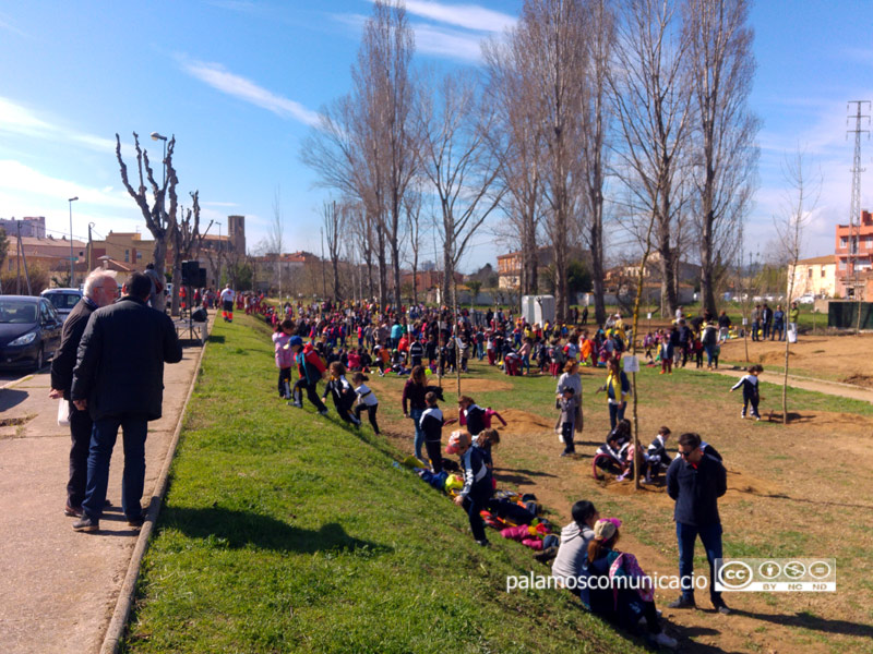 Festa de l'Arbre, aquest matí al Parc de la Bassa.