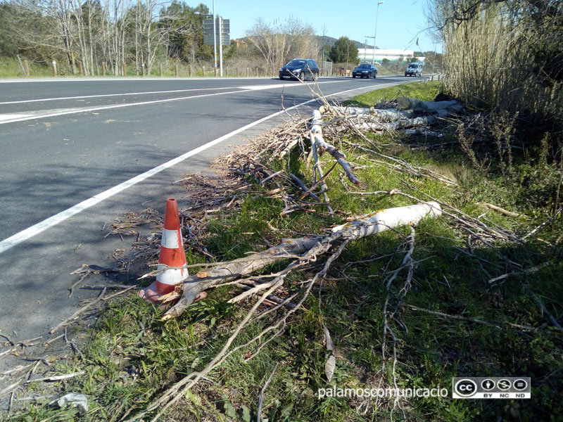 L'arbre, un cop retirat i amb la circulació normalitzada.