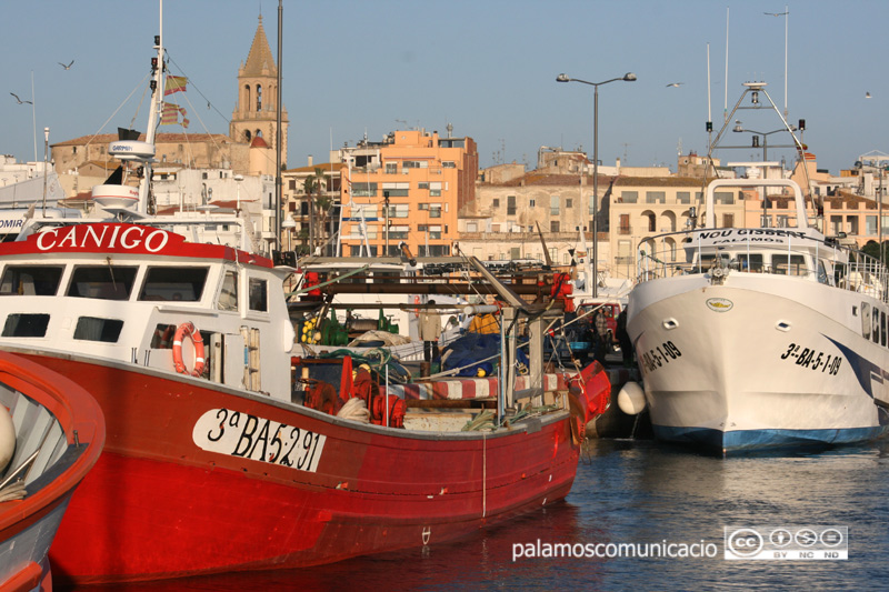 Barques de pesca al port de Palamós.