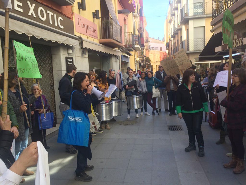 Concentració, aquest diumenge davant l'Ajuntament. (Foto: Salvem la Pineda d'en Gori).