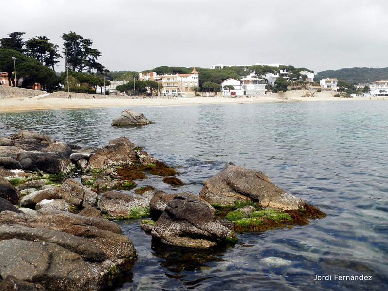 Nivell del mar baix, amb roques exposades fora l'aigua, a Sa Tamardia. (Foto: tempspalamos.blogspot.com).