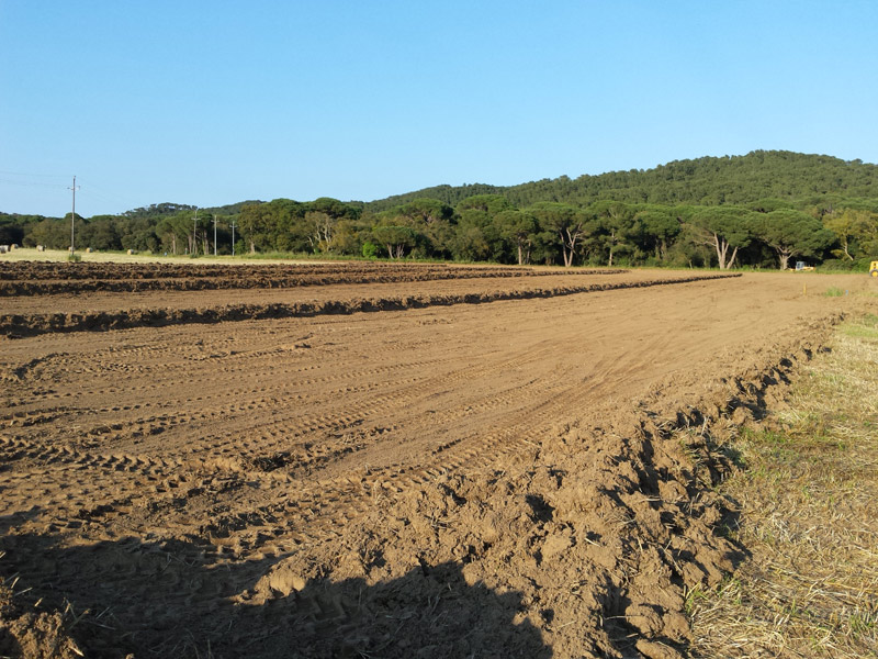 Plana de Castell, ahir. (Foto: Ajuntament de Palamós).