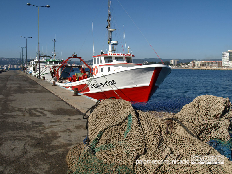 Barques de pesca al port de Palamós.