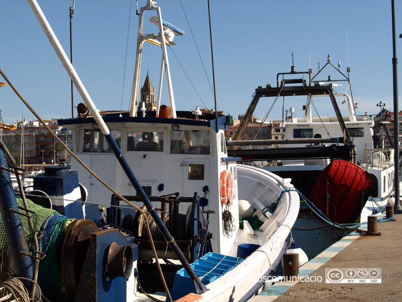 Embarcacions de pesca d'arrossegament al port de Palamós.