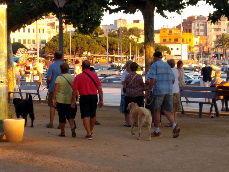 Gossos, al passeig del Mar de Palamós.