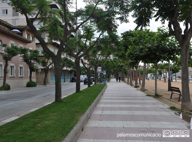 La renovació dels panots del passeig es farà de manera integral.