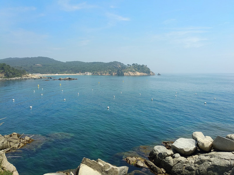 Les noves boies de S'Alguer ajuden a preservar els alguers de posidònia oceànica.