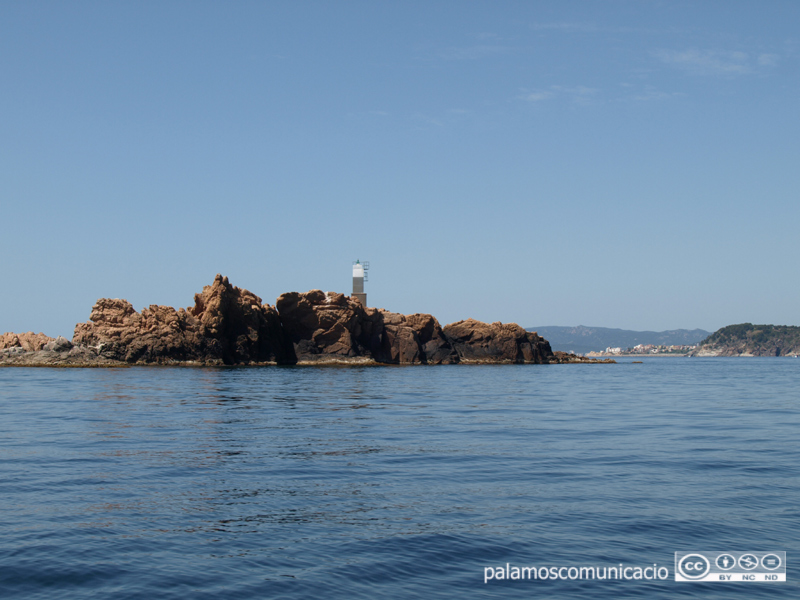 Demà es fa una nova manifestació submarina a les Illes Formigues.