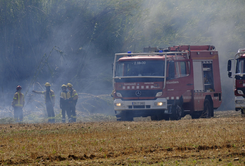 Un incendi de vegetació a Palamós, en una imatge d'arxiu. (Foto: Josep Lois).