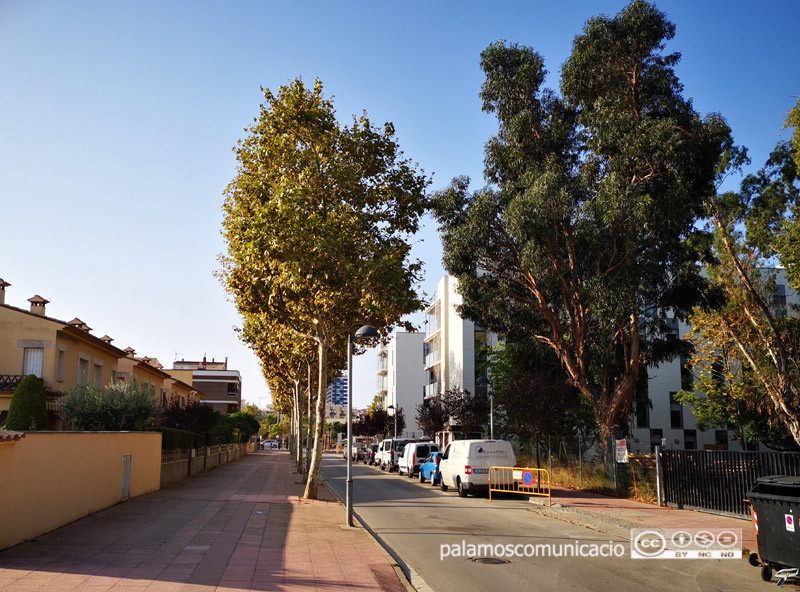 El carrer de Nàpols de Palamós, aquest matí.