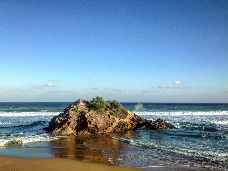 En general, aquesta passada setmana hem tingut bon temps per gaudir del litoral. (Foto: Teresa Ferrés).