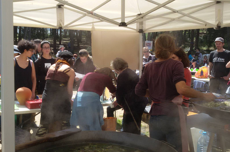 Salvem La Pineda d'en Gori tornarà diumenge a sortir al carrer per reivindicar l'aturada de les obres.