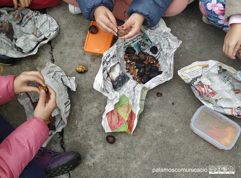 Nenes de l'escola Vedruna pelant castanyes aquest matí al pati.