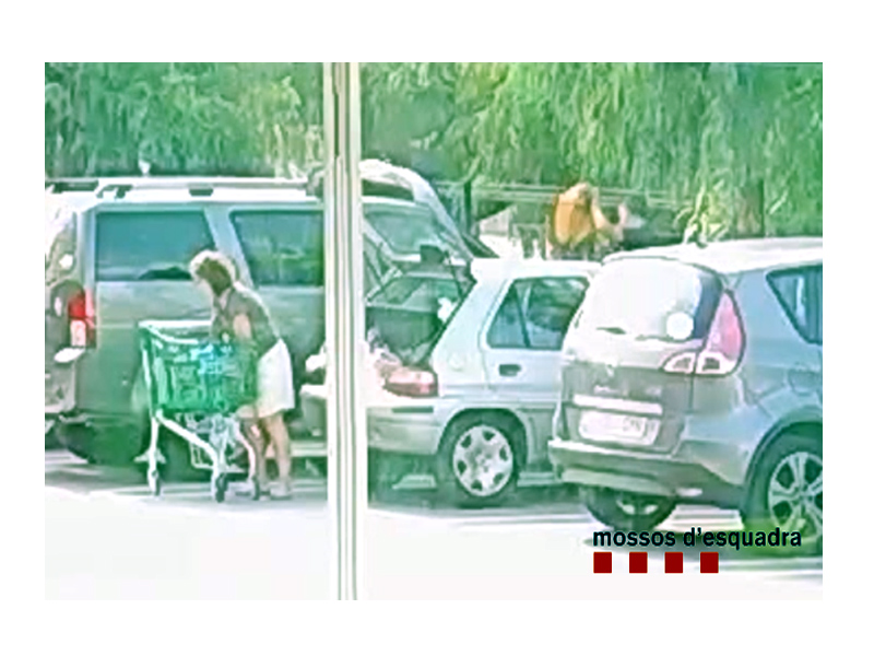 Els detinguts robaven en aparcaments de supermercats de Palamós i de Sant Antoni. (Foto: Mossos d'Esquadra).