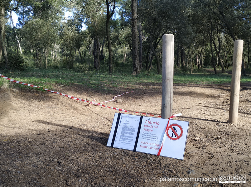 Accés restringit a l'entrada de l'espai forestal de Castell per batudes de senglars, aquest passat dissabte.