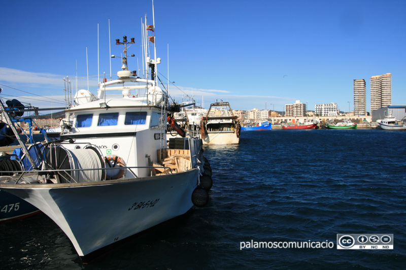 Barques de pesca de la flota palamosina.