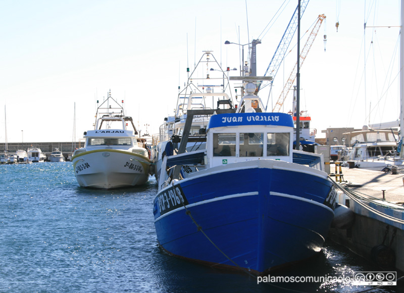 Barques de pesca al port de Palamós.