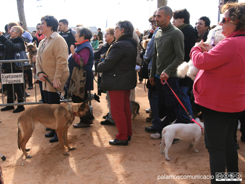 Un any més, l’acte més destacat serà la benedicció dels animals.