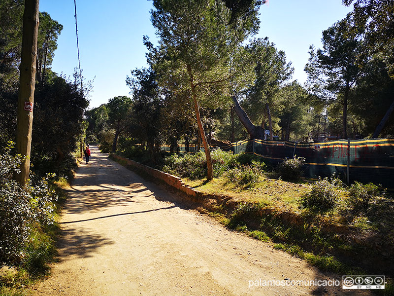 El vial de la pineda d'en Gori, aquest matí.