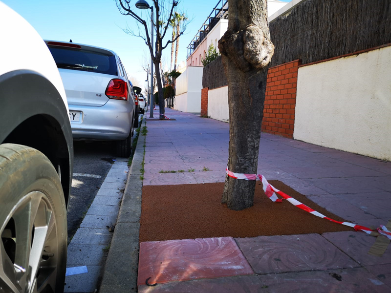 El cautxú facilita la mobilitat a les voreres i evita l'acumulació de brutícia en el forat dels arbres. (Foto: Ajuntament de Palamós).