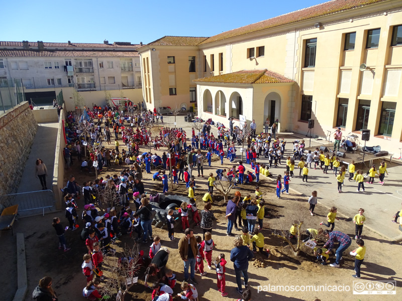 Festa de l'Arbre, aquest matí a l'escola La Vila.