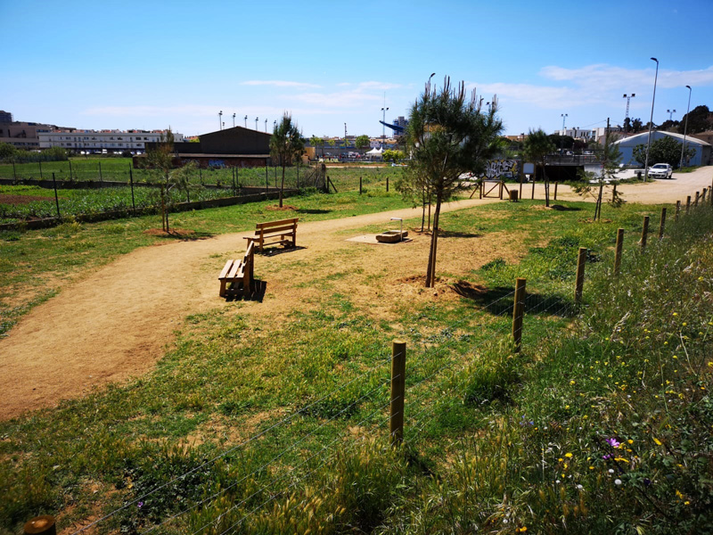 La nova zona d'esbarjo per a animals de companyia. (Foto: Ajuntament de Palamós).