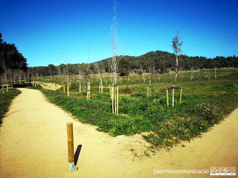 Zona del nou aparcament de Castell.