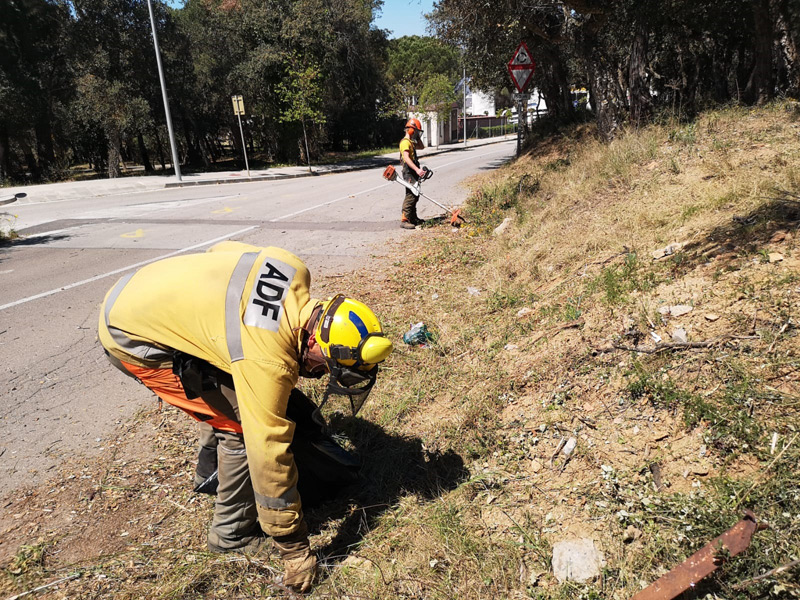 Membres de l'ADF Gavarres-Marítima realitzant les tasques de prevenció d’incendis. (Foto: Ajuntament de Palamós).