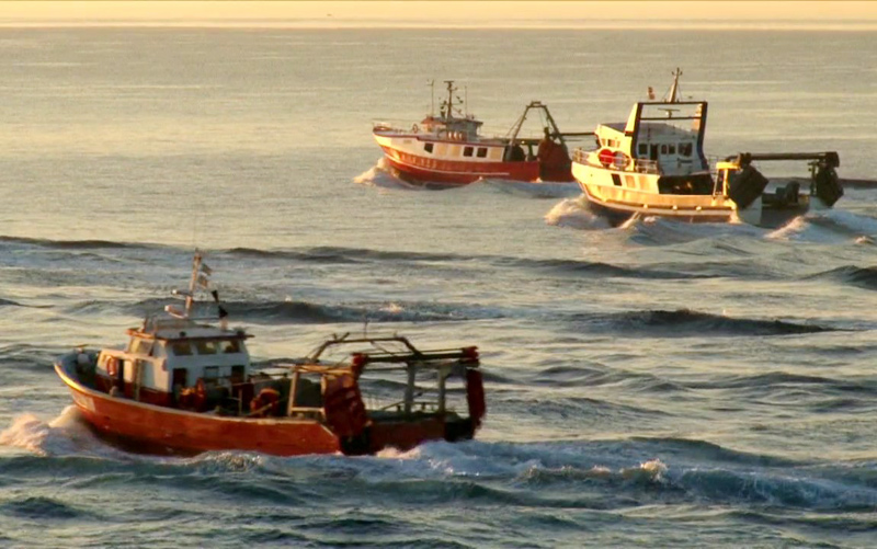 Barques de pesca feinejant. (Foto: Museu de la Pesca).