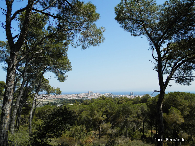 Les temperatures altes han arribat a Palamós. (Foto: Jordi Fernández).