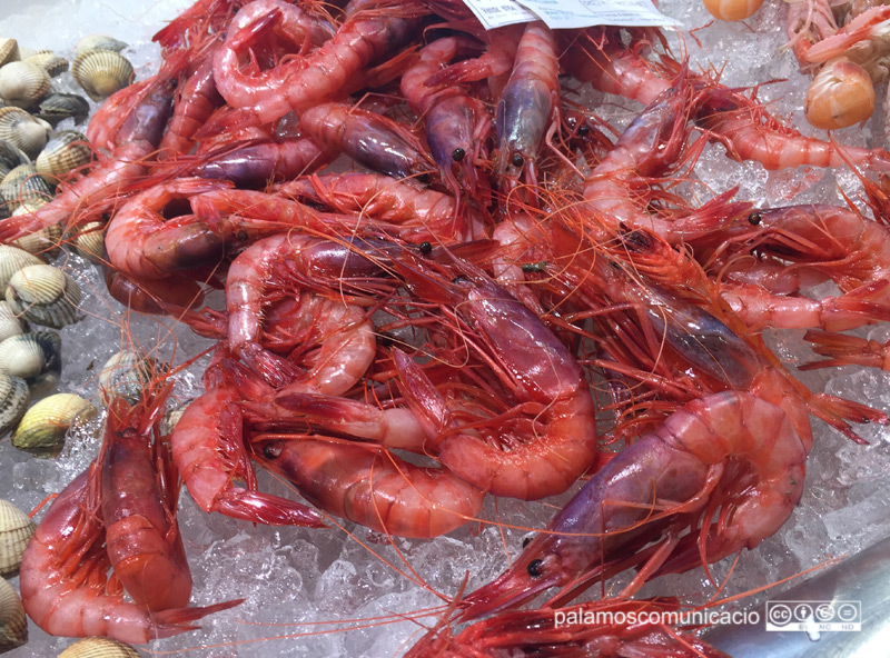 Gamba de Palamós en una parada del Mercat Municipal.