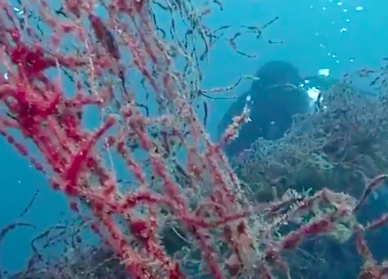 La campanya vol eliminar les xarxes fantasma per evitar els danys que provoquen a la biodiversitat marina.