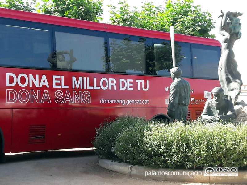 La donació es farà a la zona del monument als pescadors, en aquest cas, amb una carpa.