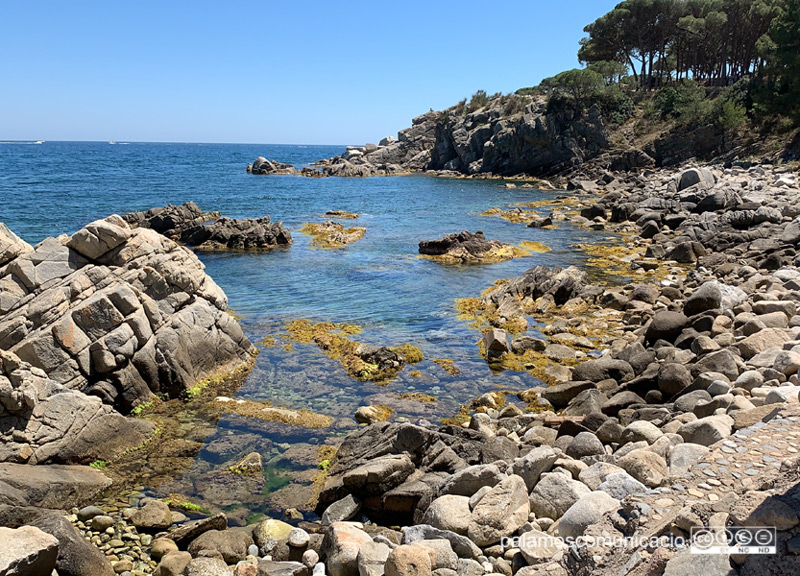 La caleta de S'Alguer Petit.