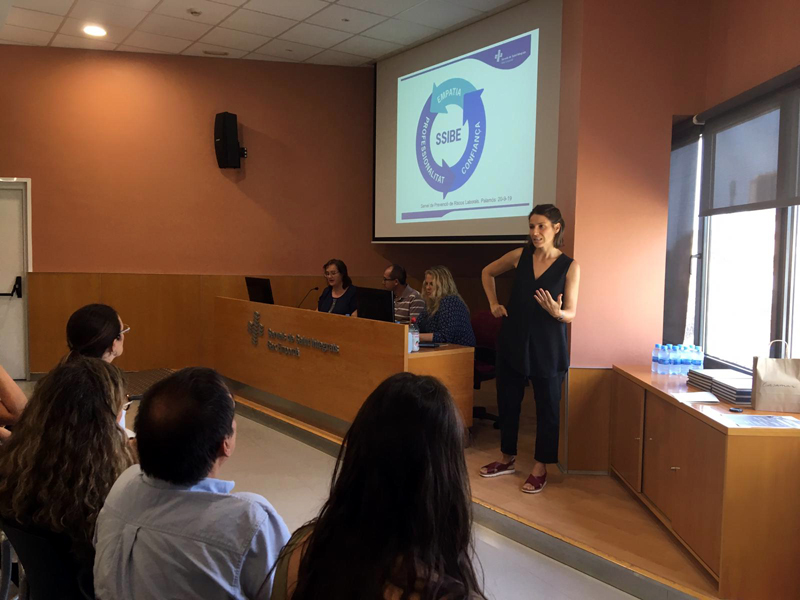 La jornada es fa a la sala d'actes de l'edfici Flèming. (Foto: SSIBE).