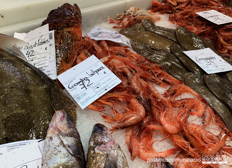 Gamba mitjana de Palamós a 72€ el kilo, aquest matí al Mercat de Palamós.