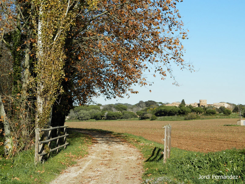 Temps assolellat i paisatge de tardor a la Via Verda, el passat dilluns 25 de novembre. (Foto: J. Fernández tempspalamos.blogspot.com).